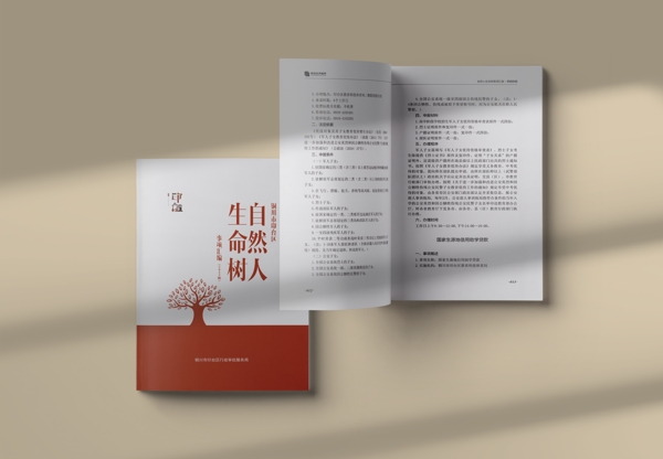 自然人生命树事项汇编