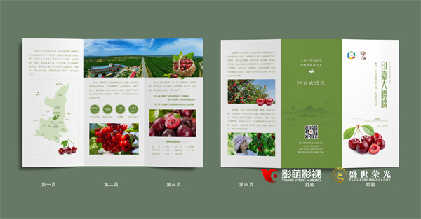 三折页-效果C.jpg