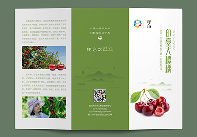 印台大樱桃三折页